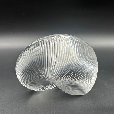 Baccarat Nautilus Shell Crystal Paperweight – Signed