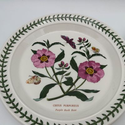 Portmeirion The Botanic Garden Dinner Plates – Set of 4
