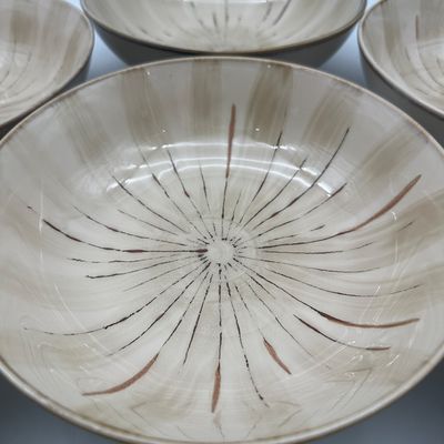 Pier 1 Sanctuary Stoneware Soup/Pasta Bowls – Set of 7