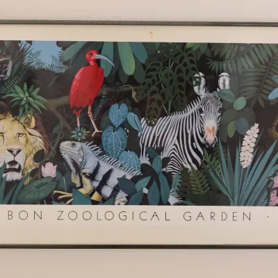Sales Title Vintage Audubon Zoological Garden New Orleans Wildlife Poster