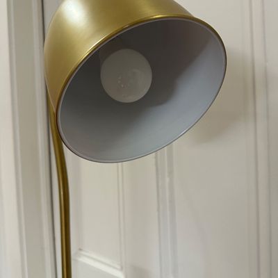 Adjustable Brass-Finish Floor Lamp
