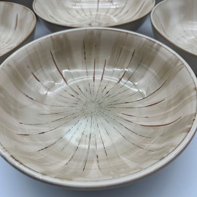 Pier 1 Sanctuary Stoneware Soup/Pasta Bowls – Set of 7