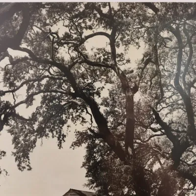 Clarence John Laughlin (1905–1985), “Two Homes Along Country Roads with Trees,” Signed Gelatin Silver Photograph