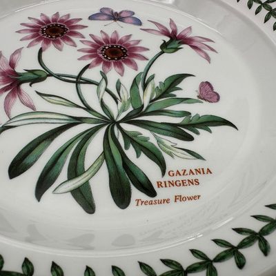 Portmeirion The Botanic Garden Dinner Plates – Set of 4