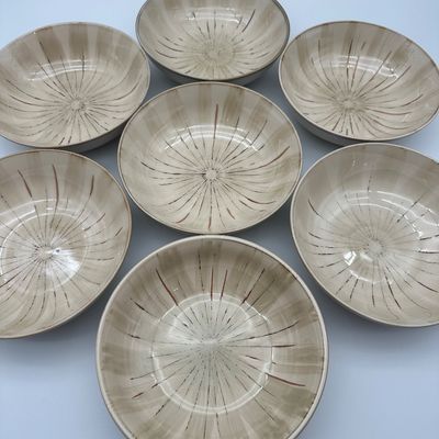 Pier 1 Sanctuary Stoneware Soup/Pasta Bowls – Set of 7