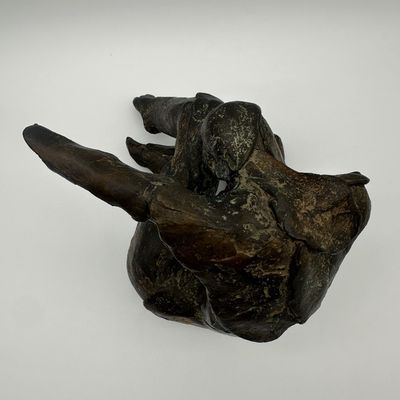 Signed Bronze Reclining Figure Sculpture