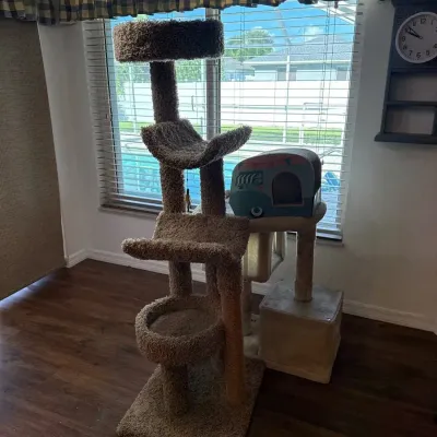 Lot Of Two Cat Climbing Condos With Rv Scratch Pad 