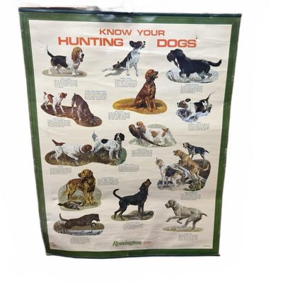 Sale Photo Thumbnail #403: 1974 Remington Poster Know Your Hunting Dogs