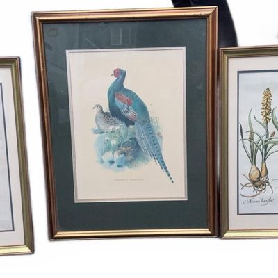Sale Photo Thumbnail #390: Botanical (2) + 1 Bird Prints, Framed