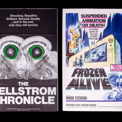 Sale Photo Thumbnail #272: Horror Movie/ Science Fiction Movie Posters