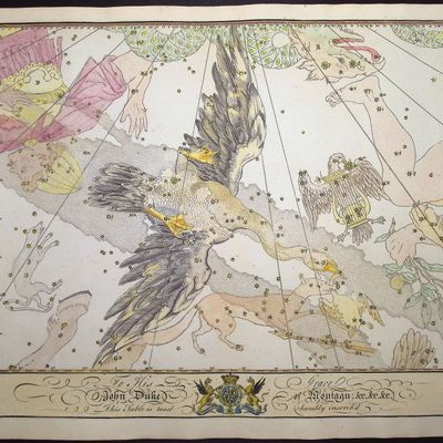 Sale Photo Thumbnail #32: Bevis, Rare - Constellation or Star Chart of Cygnus (Swan)