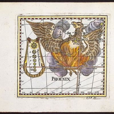 Sale Photo Thumbnail #29: Thomas - Constellation or Celestial Chart of Phoenix