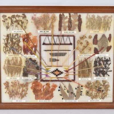 Sale Photo Thumbnail #38: Garland's Navajo Rugs Mixed Media Navajo Botanical Dye Specimen Display