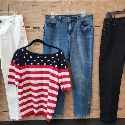 (3) Talbots Casual Pants (Sz 10/12) & Patriotic Sweater (M) 