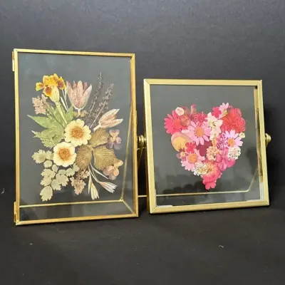 Framed Pressed Flowers 