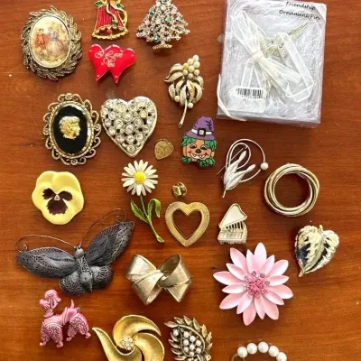 Costume Jewelry - Broach Grab Bag