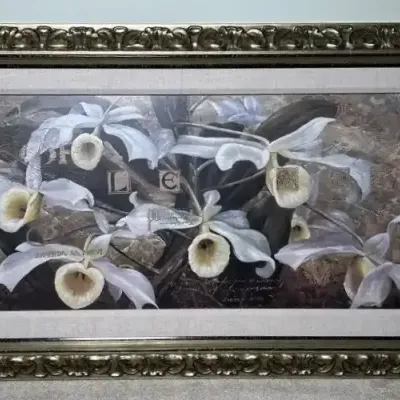 Large Lily Art Print