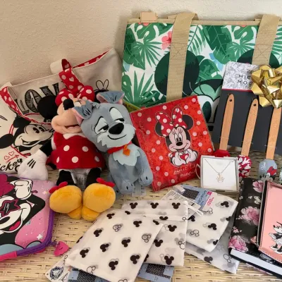Disney Items with Minnie and Mickey Themes