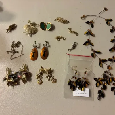 Jewelry Including Necklaces, Earrings, and Brooches