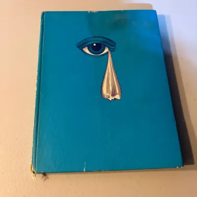 The Beatles Illustrated Lyrics Hardcover Book by Alan Aldridge