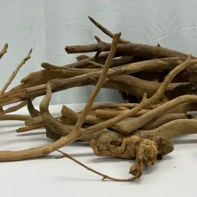 Cholla Cactus Wood + Driftwood Pieces