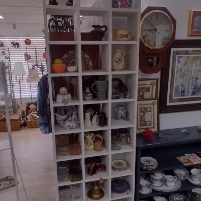 Solid Wood Multi-Cubby Display Organizer Shelf (#12)
