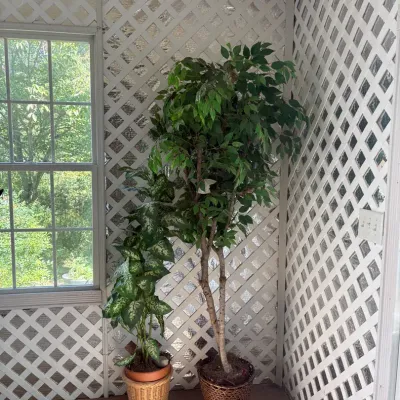 Pair of Large Artificial Indoor Potte