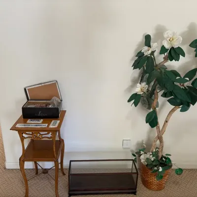 Antique Carved Oak Plant Stand Table, Glass Display Case, Faux Tree & Vintage Chinese Tiles
