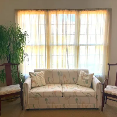 4-Piece Living Room Set: Castro Sleeper Sofa, Pair of Ming-Style Chairs & Tall Ficus Tree