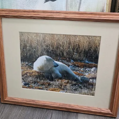 Sale Photo Thumbnail #426