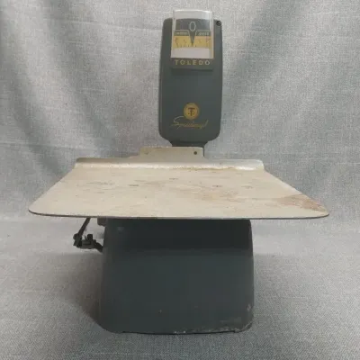 Toledo Speedweigh Scale