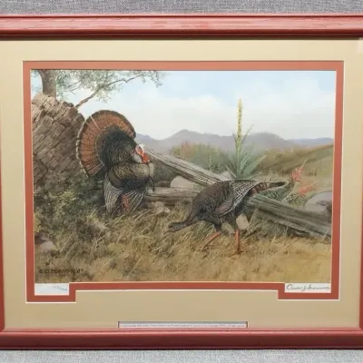 "A Long Courtship - Wild Turkeys" by Owen Gromme
