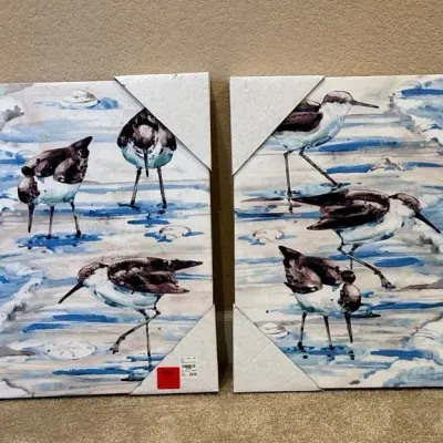 Art of Birds 