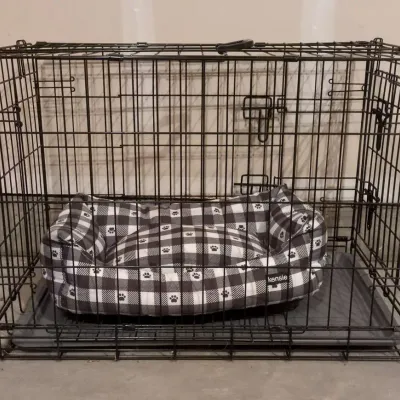 Small Kennel #2