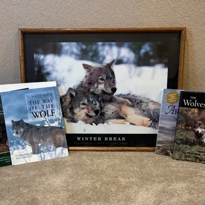 Wolf Artwork & Books 