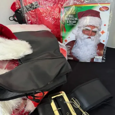Adult Santa Costume
