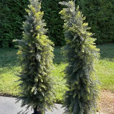 Pair of Artificial Topiary Trees