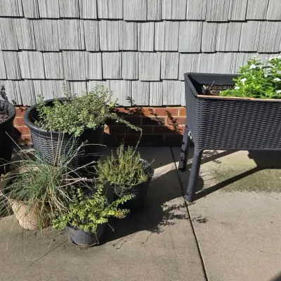 12 Garden Planter Containers, Herbs & Flowers