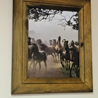 Sale Photo Thumbnail #119