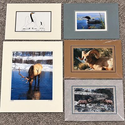 Sale Photo Thumbnail #13