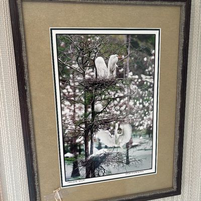 Sale Photo Thumbnail #23