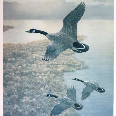 Framed Art Print Flying South Canada Geese by Russell Johnson