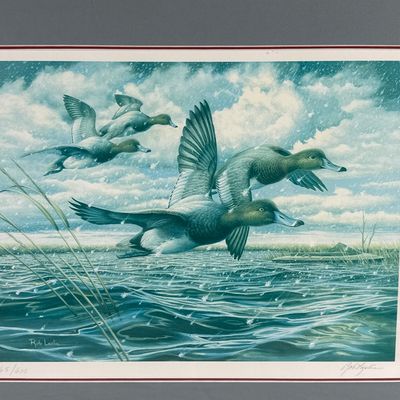 Rob Leslie Signed & Numbered Limited Edition Duck Print 165/600 Framed