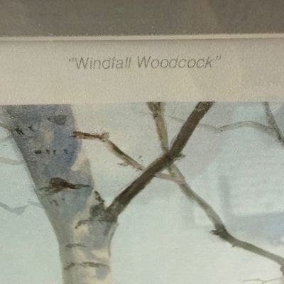 Ned Smith Framed Limited Edition Print Windfall Woodcock 157/600 Signed