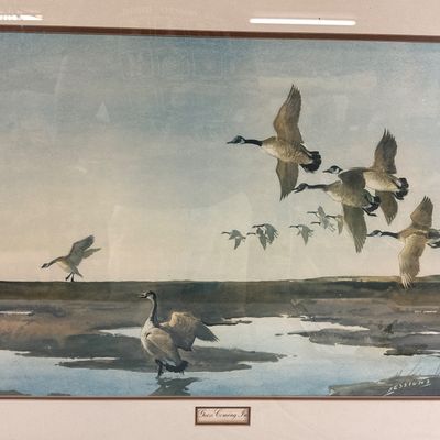 Framed Vintage Wildlife Print Geese Coming In by James Sessions