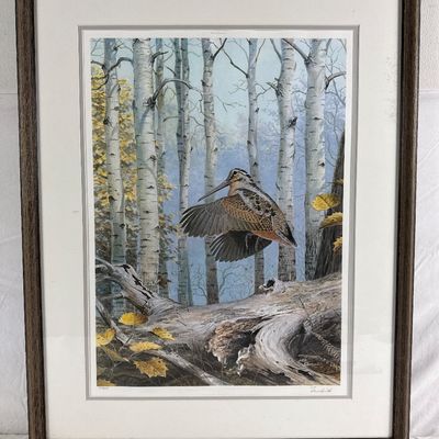 Ned Smith Framed Limited Edition Print Windfall Woodcock 157/600 Signed