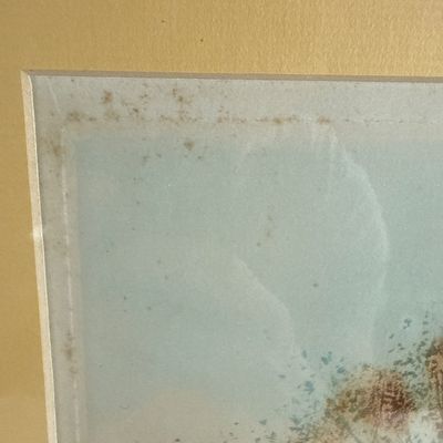 Paul Emile Lecomte Signed Color Etching in Ornate Gilt Frame