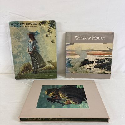 Winslow Homer Art Book Collection - Set of 3