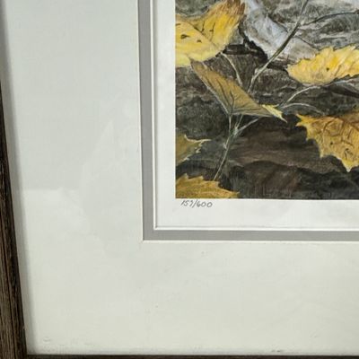 Ned Smith Framed Limited Edition Print Windfall Woodcock 157/600 Signed
