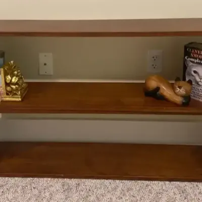 Small Bookcase and Books